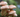 Experience Wellness with Mushroom Gummies - Nature's Best Kept Secret - Goodness Nutrition